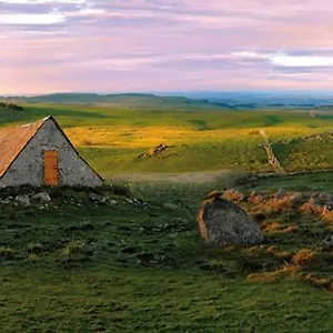 Fraicheur , Foret D'aubrac , Au Coeur De La Nature Prades-d'Aubrac